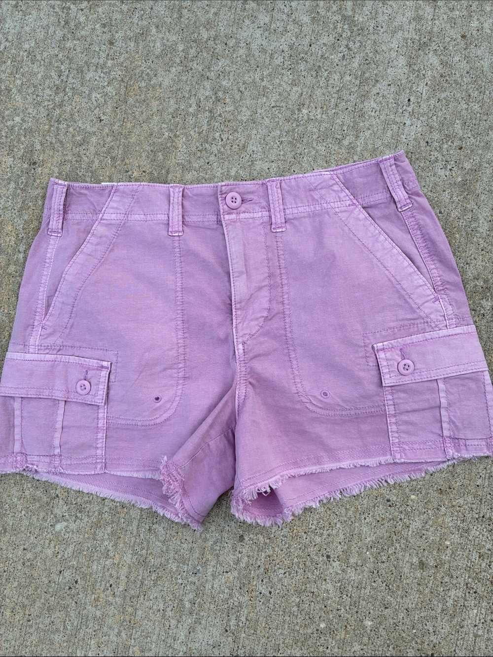 American Eagle Outfitters Lavender Cargo Shorts